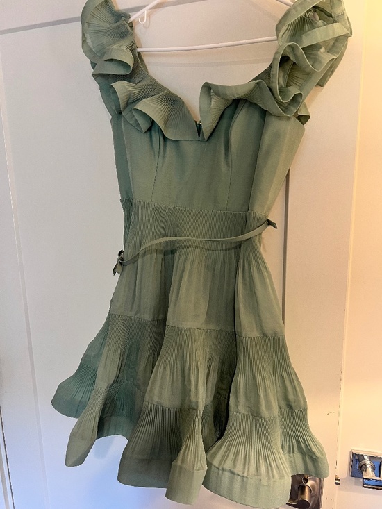 Zimmermann Dresses & Skirts - Zimmermann Pleated Frill Mini Dress in Green- Size 2